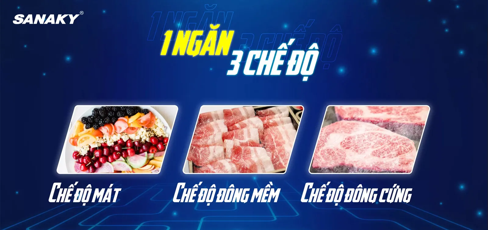 Tủ đông Sanaky 761 lít VH-8699HYK Tủ đông Sanaky 761 lít VH-8699HYK